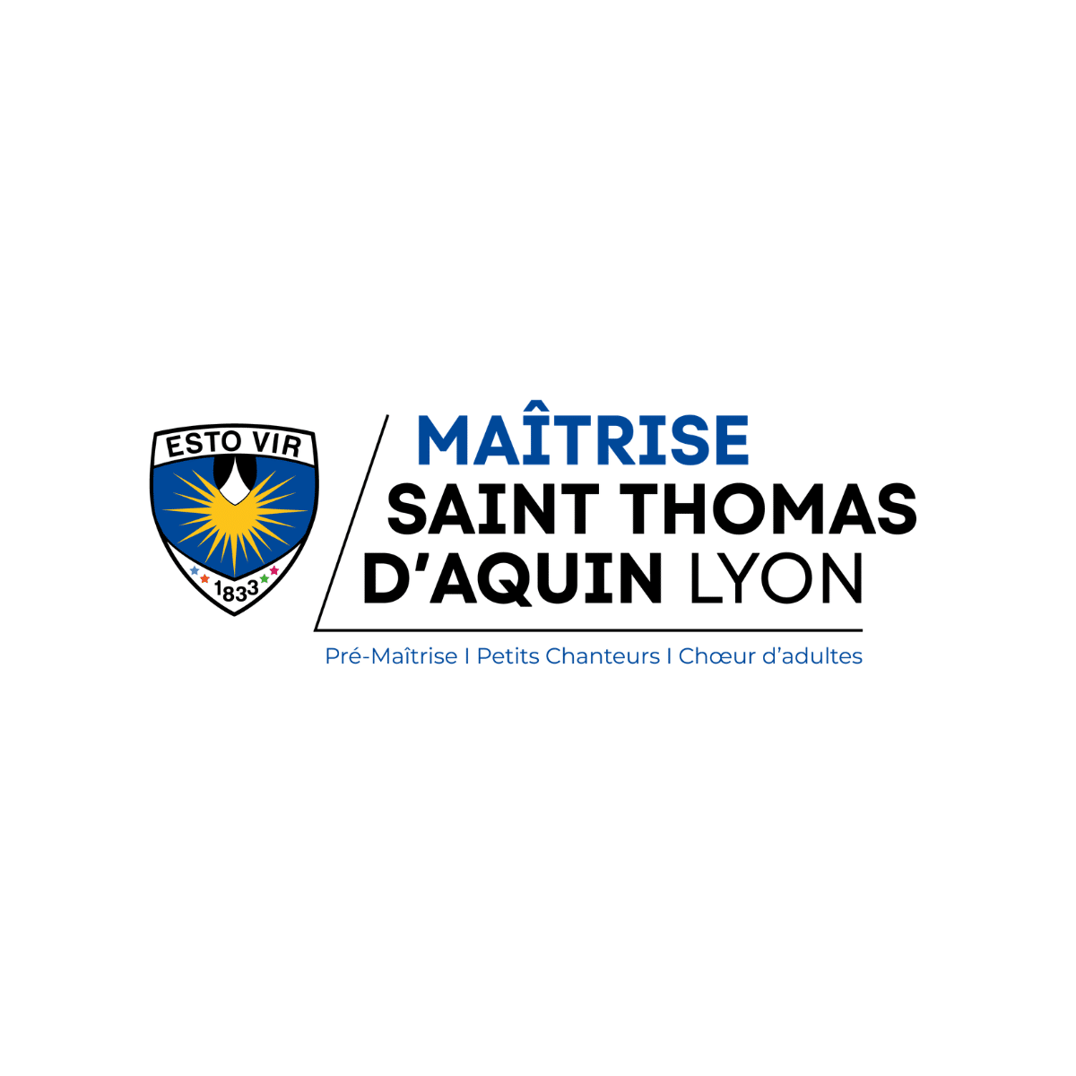 LOGO MAITRISE